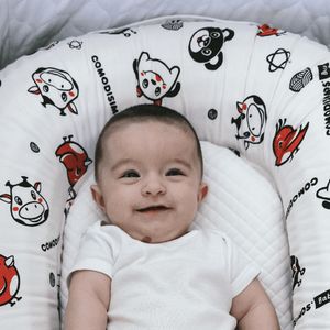 Baby Nest
