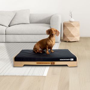 Cozy Pad + Somier Pet
