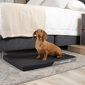 Nueva Cozy Pad