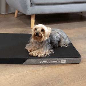Forro para cama de perro - Cozy Pad